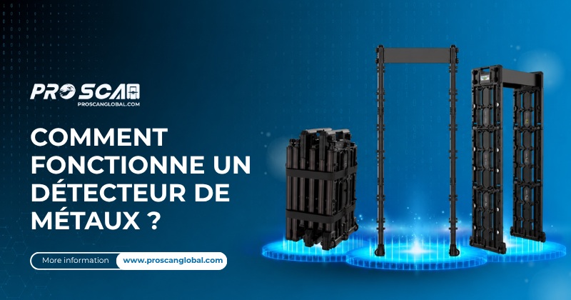 Comment fonctionne un détecteur de métaux ?
