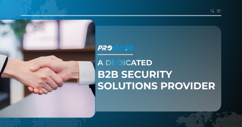 the leader b2b security solutions provider